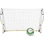 Quickster Goal 6 x 4